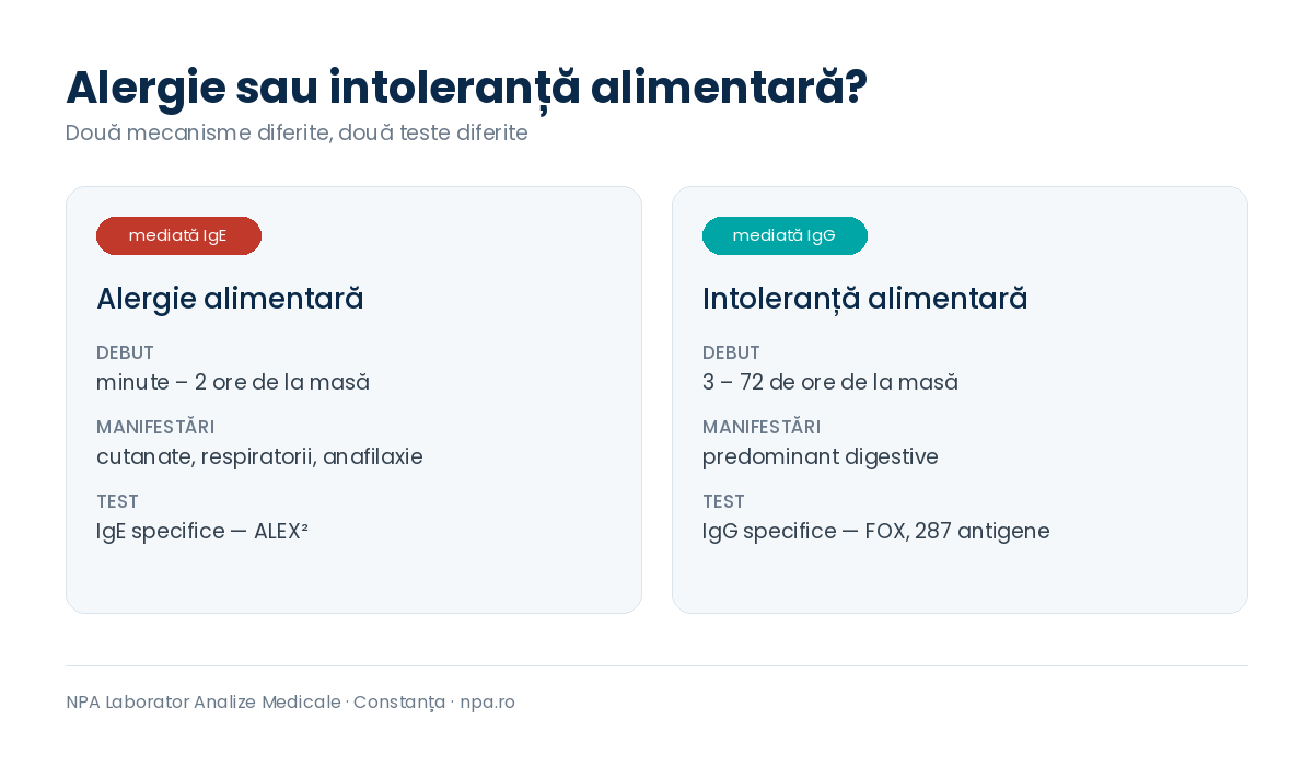 Test de intoleranta alimentara FOX la NPA Constanta: diferenta dintre alergia alimentara mediata IgE si intoleranta alimentara mediata IgG