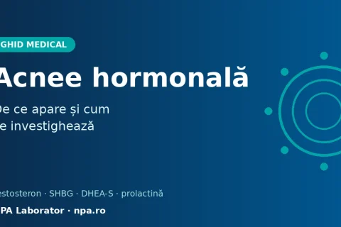 Acnee hormonală: de ce apare și cum se investighează