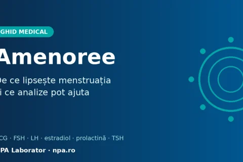 Amenoree: de ce lipsește menstruația și ce analize pot ajuta