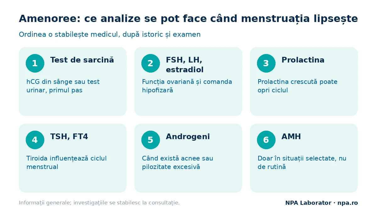 Amenoree: analizele care se pot face când menstruația lipsește