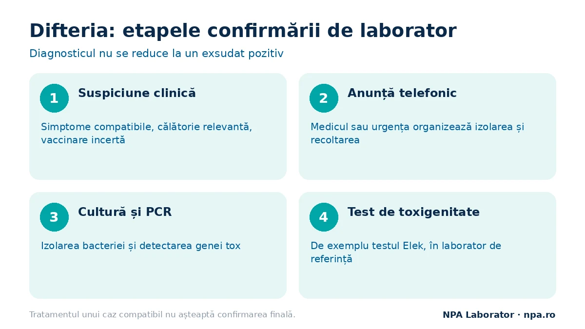 Difterie simptome și diagnostic: etapele confirmării de laborator